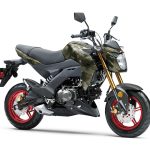 2025 KAWASAKI Z125 PRO